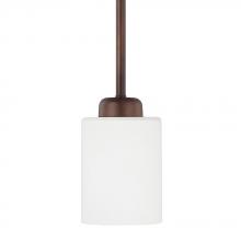 Capital Canada 315211BZ-338 - 1 Light Pendant