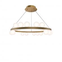  PD-21528-27-BK - Carousel Chandelier Light