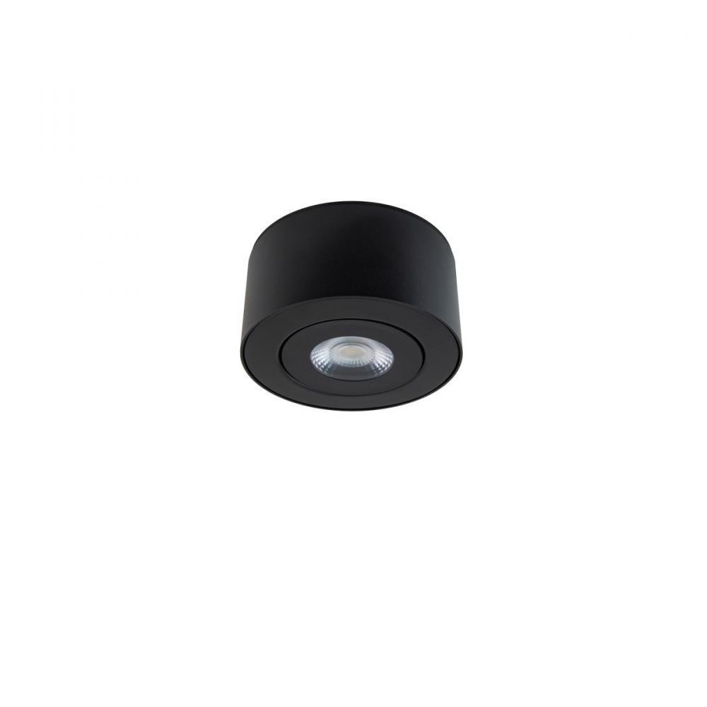 I Spy Outdoor Flush Mount Light