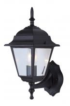  IOL110 - Outdoor 1 Light Outdoor Lantern, Black Finish