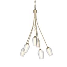 Hubbardton Forge - Canada 103043-SKT-84-ZS0354 - Flora 6 Arm Chandelier