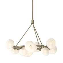 Hubbardton Forge - Canada 131069-SKT-MULT-84-FD0710 - Ume 9-Light Ring Pendant