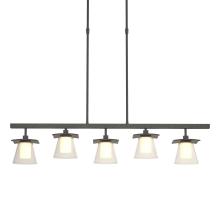 Hubbardton Forge - Canada 136605-SKT-STND-20-ZU0284 - Wren 5 Light Pendant