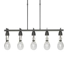 Hubbardton Forge - Canada 137810-SKT-SHRT-20-ZM0572 - Apothecary Pendant