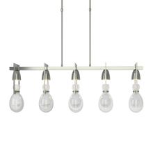 Hubbardton Forge - Canada 137810-SKT-SHRT-85-ZM0572 - Apothecary Pendant