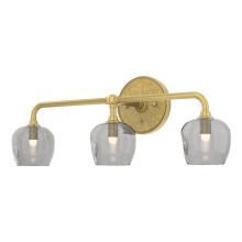 Hubbardton Forge - Canada 201342-SKT-86-86-YL0709 - Ume 3-Light Curved Arm Bath Sconce