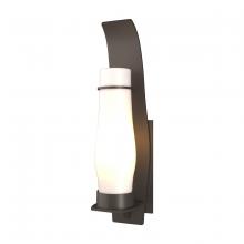 Hubbardton Forge - Canada 304220-SKT-77-GG0163 - Sea Coast Large Outdoor Sconce