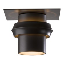 Hubbardton Forge - Canada 364903-SKT-14 - Twilight Dark Sky Friendly Outdoor Semi-Flush